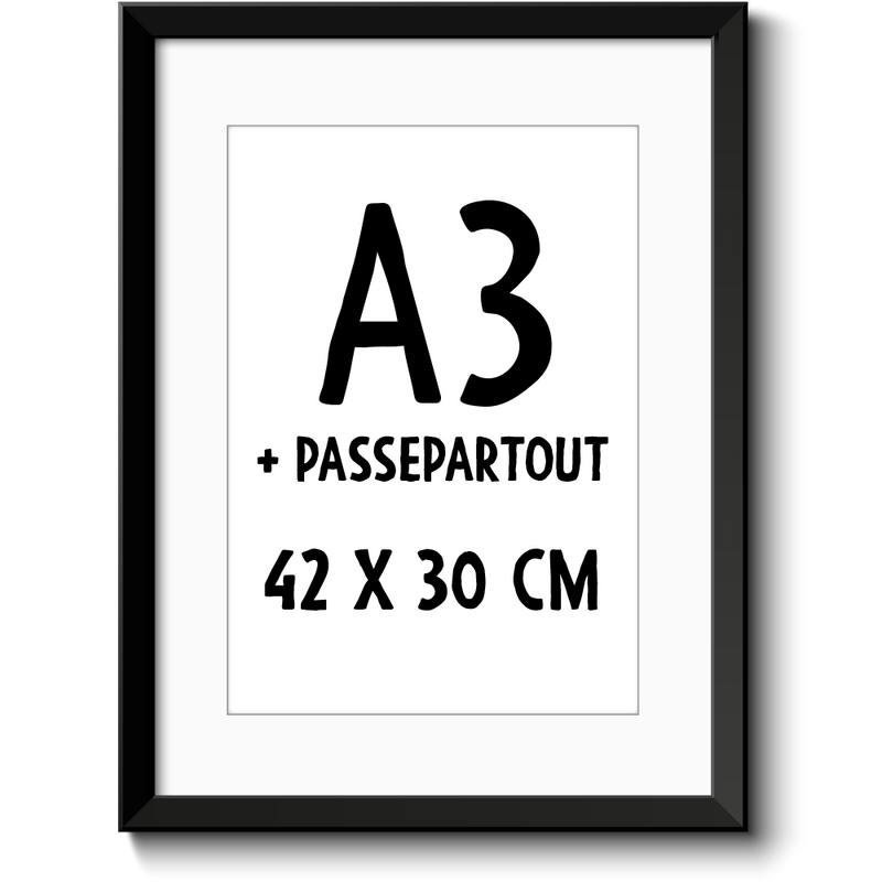 Update auf A3 mit Passepartout
