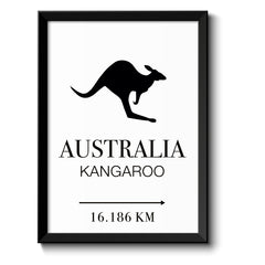  Australien Kangaroo
